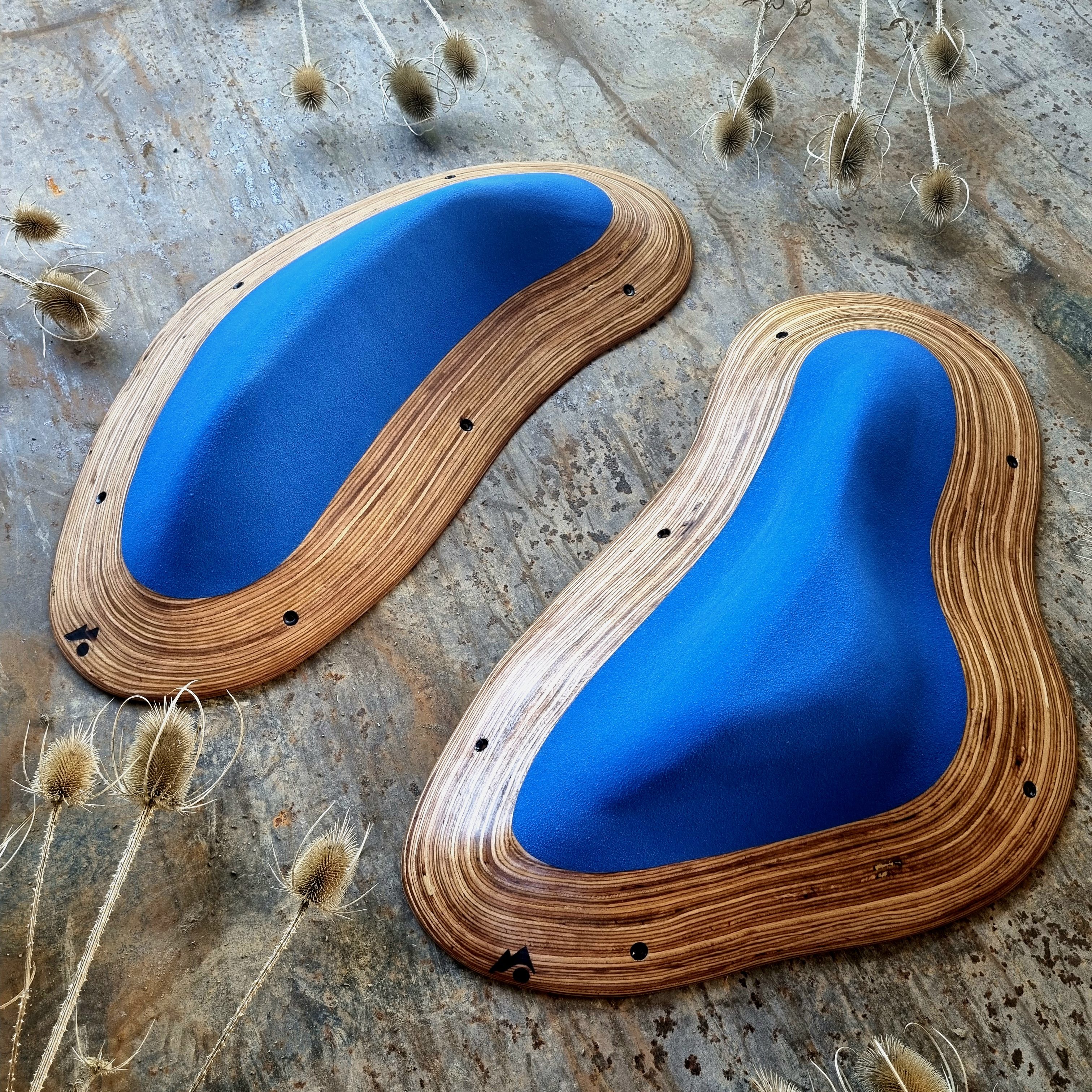 Duo de prises macros bleue